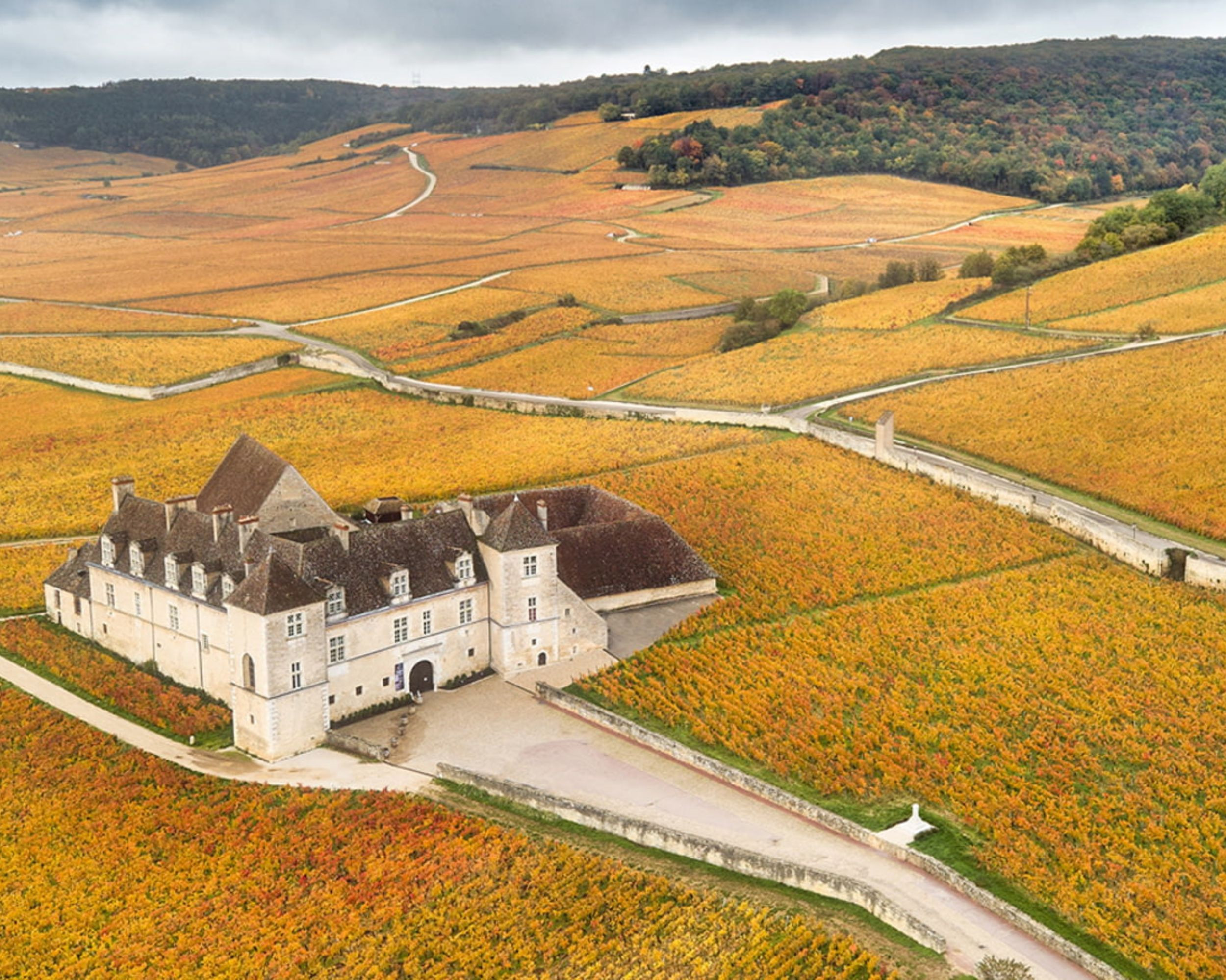 Domaine Joseph Drouhin